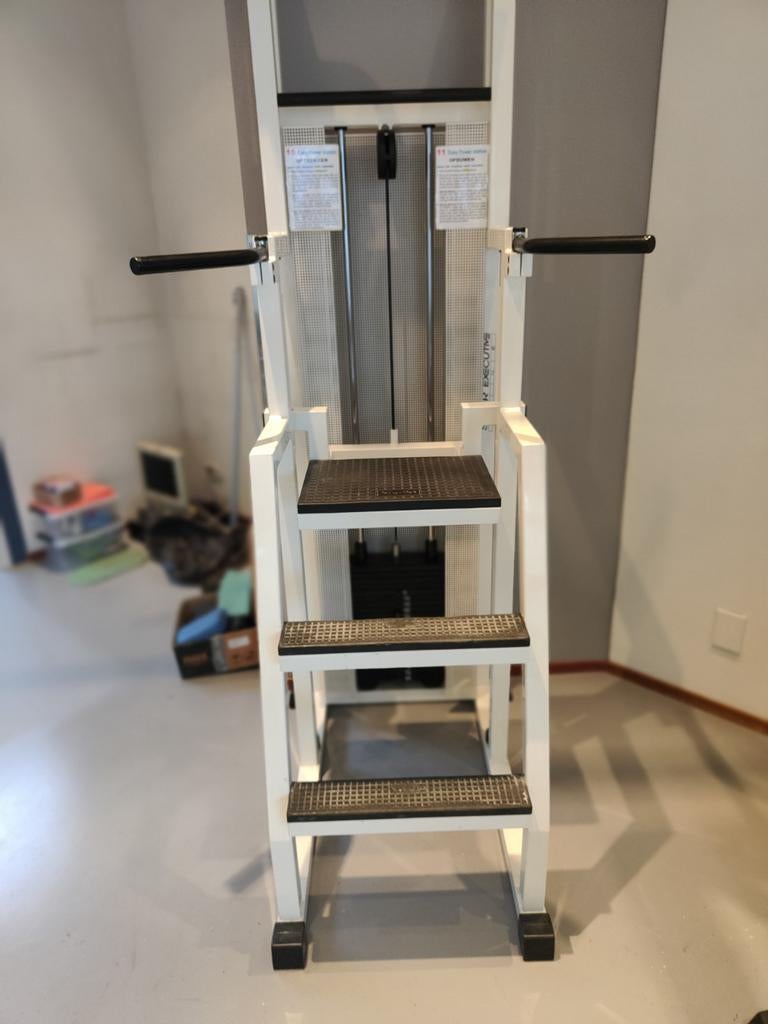 Technogym easy power station isotonic chin dip, Ophalen, Technogym, -, -