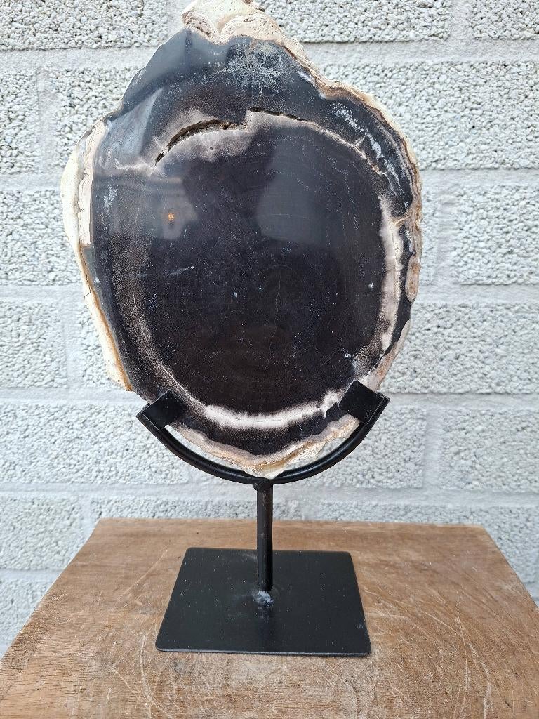 Versteend hout op standaard no 4, Ophalen of Verzenden, Mineraal