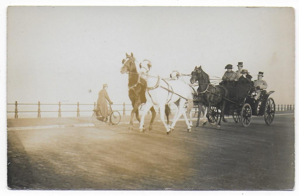 In de koets en in de mist ongelopen oude ansichtkaart B6924, Ophalen of Verzenden, 1940 tot 1960, Ongelopen