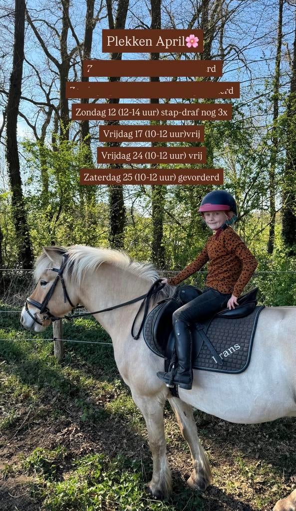 Bosritten montferlandbos