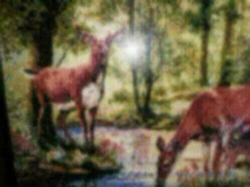 Schilderijen, Antiek en Kunst, Ophalen of Verzenden