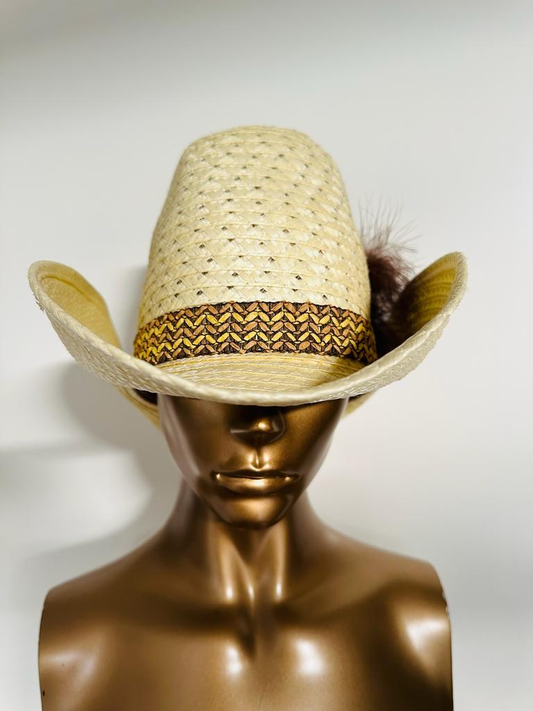 Feest cowboy cowgirl hoed met veer, Ophalen of Verzenden, Nieuw, One size fits all