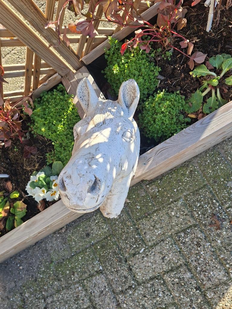 Vintage Betonnen Paardenhoofd Tuin Decoratie, Tuin en Terras, Ophalen, Gebruikt
