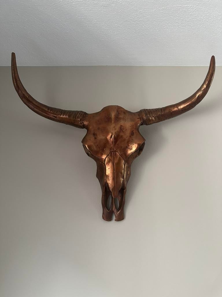 koperen longhoorn schedel (stier), Ophalen of Verzenden, Zo goed als nieuw