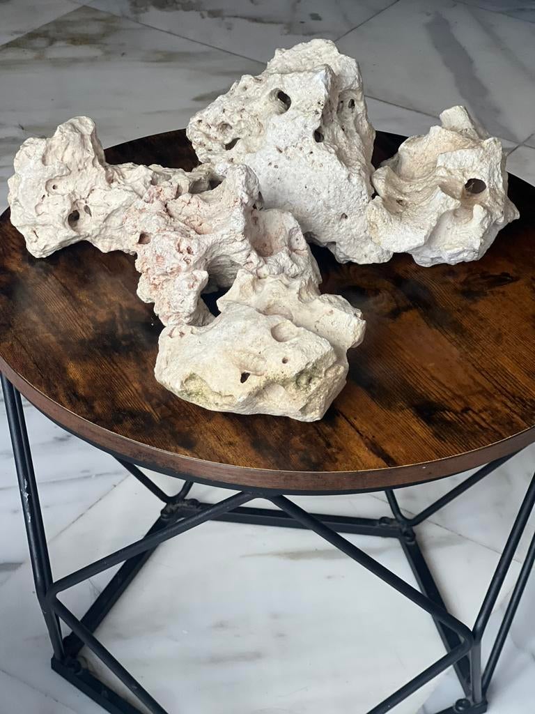 Aquariumstenen Sansibar rocks 5 stuks wit,beige kleur, Dieren en Toebehoren, Ophalen of Verzenden, Gebruikt, Decoratie