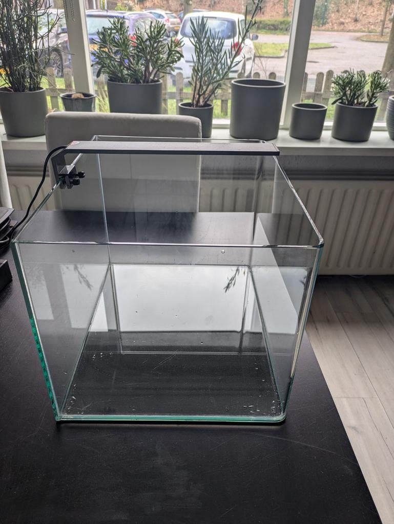 Dennerle 35L cube, Ophalen, Leeg aquarium