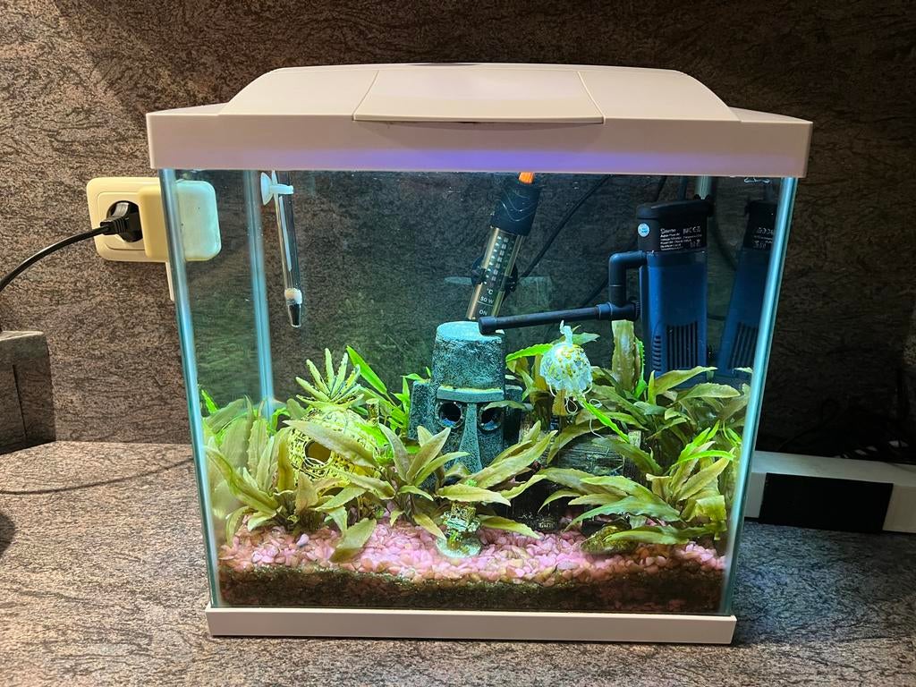 Compleet aquarium, Dieren en Toebehoren, Vissen | Aquaria en Toebehoren, Ophalen, Zo goed als nieuw, Gevuld zoetwateraquarium