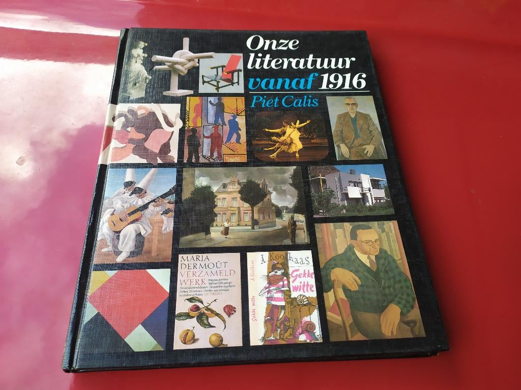 Onze literatuur tot 1916 - Piet Calis, Boeken, Ophalen of Verzenden, Gelezen