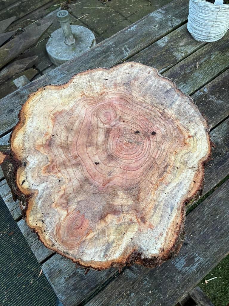 Decoratieve Boomschijf - Natuurlijke Houtschijf, Ophalen, Gebruikt, Minder dan 180 cm, Overige typen