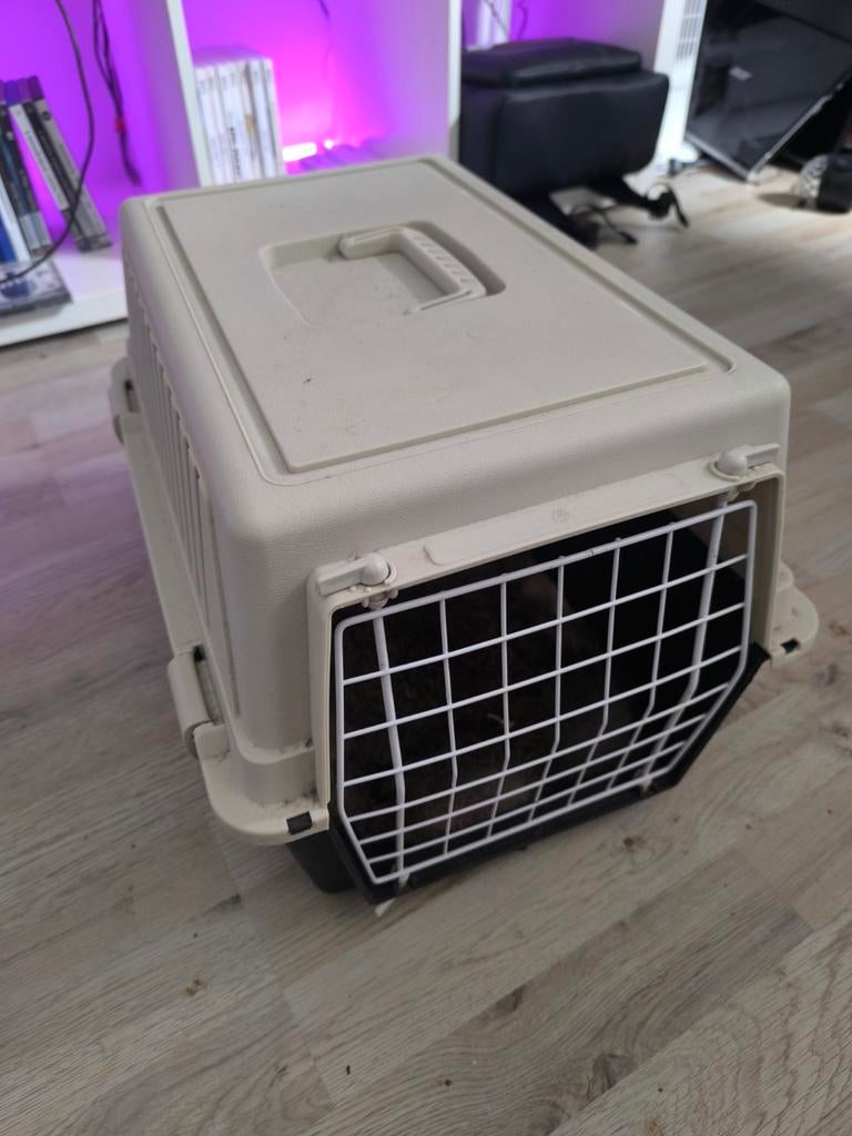 Reis kooi kat  of klein dier, Ophalen of Verzenden, Minder dan 75 cm, Minder dan 65 cm