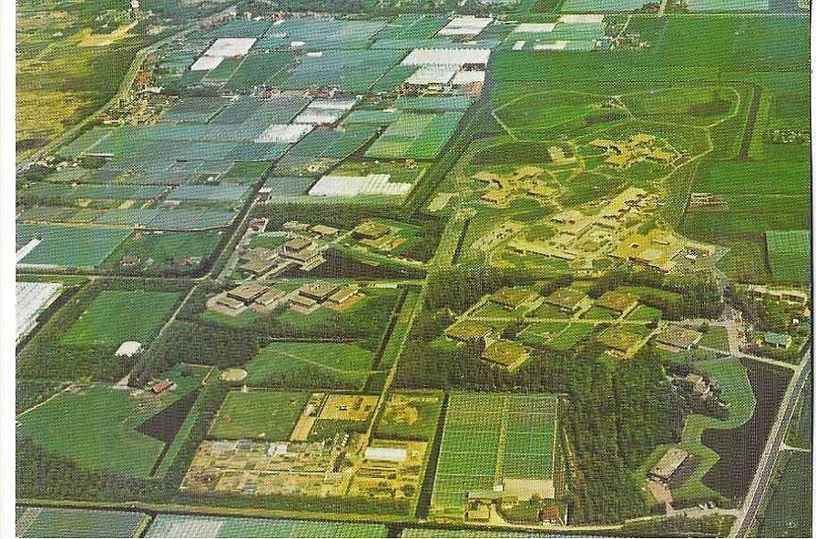 Monster, Verzamelen, Ansichtkaarten | Nederland, Ophalen of Verzenden, 1980 tot heden, Ongelopen, Zuid-Holland