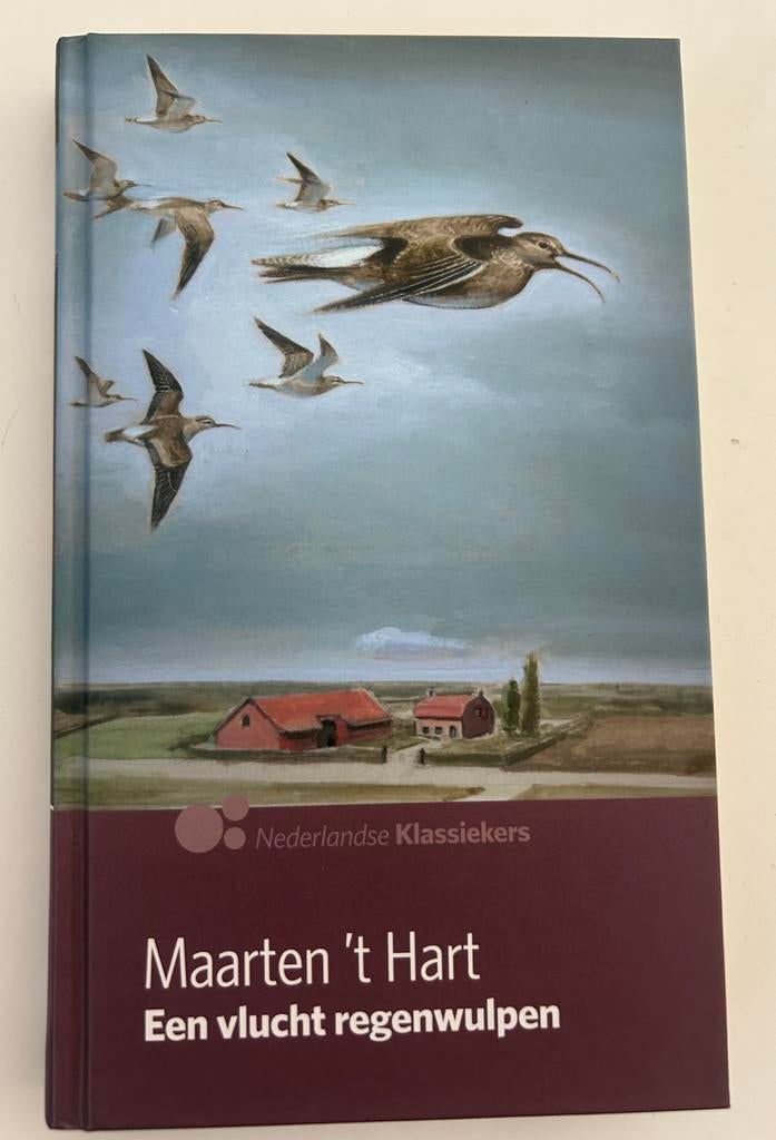 Maarten 't Hart - Een vlucht regenwulpen Klassieker, Ophalen of Verzenden, Gelezen