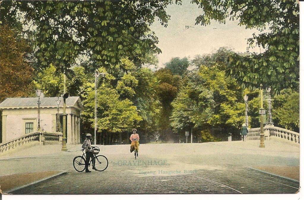 's Gravenhage ingang Haagsche Bosch., Verzamelen, Ophalen of Verzenden, Voor 1920, Gelopen, Zuid-Holland