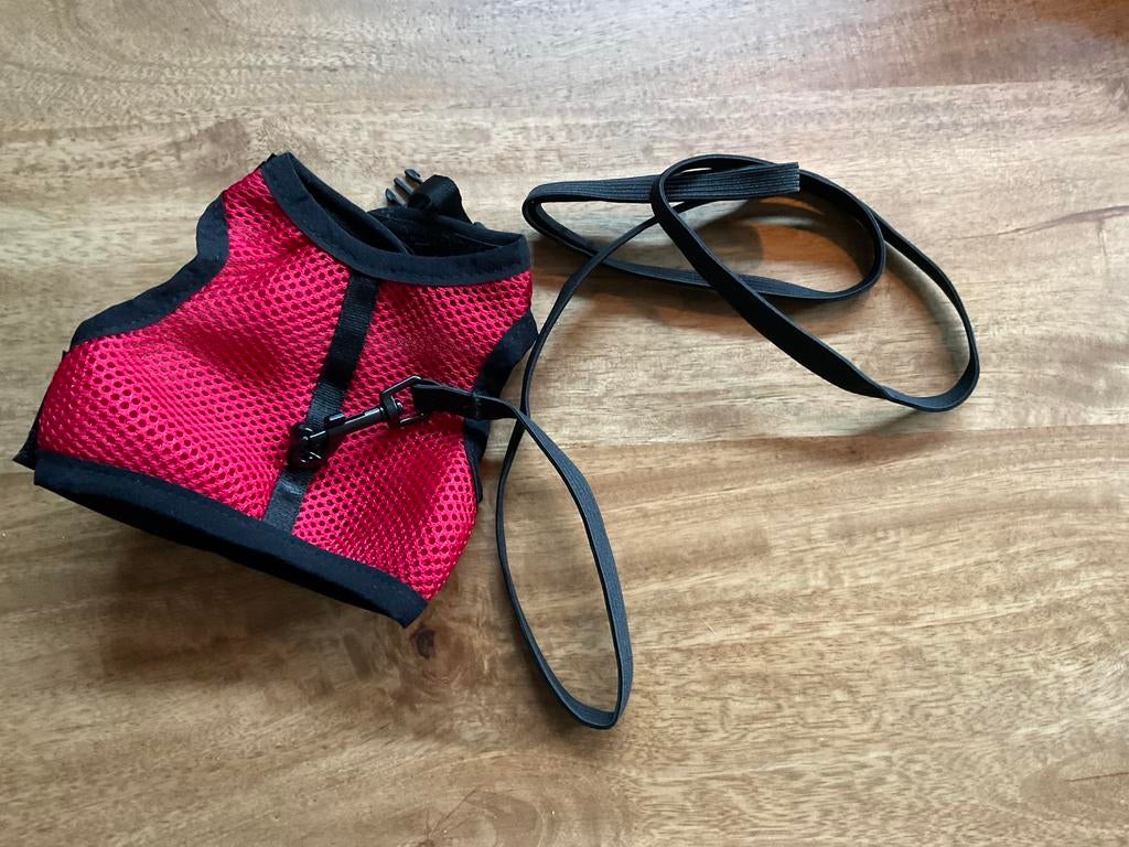 Katten tuigje Beeztees, Dieren en Toebehoren, Ophalen, Nieuw