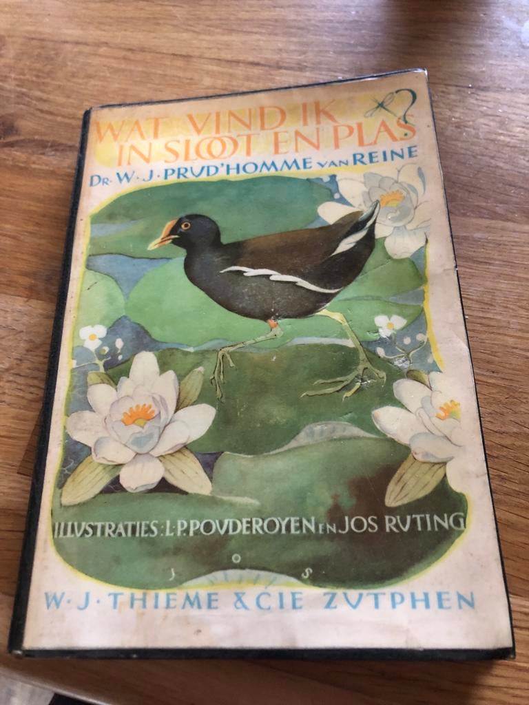 Wat vind ik in sloot en plas? - W.J. Prudhomme van Reine, Ophalen of Verzenden, Gelezen, Natuur algemeen