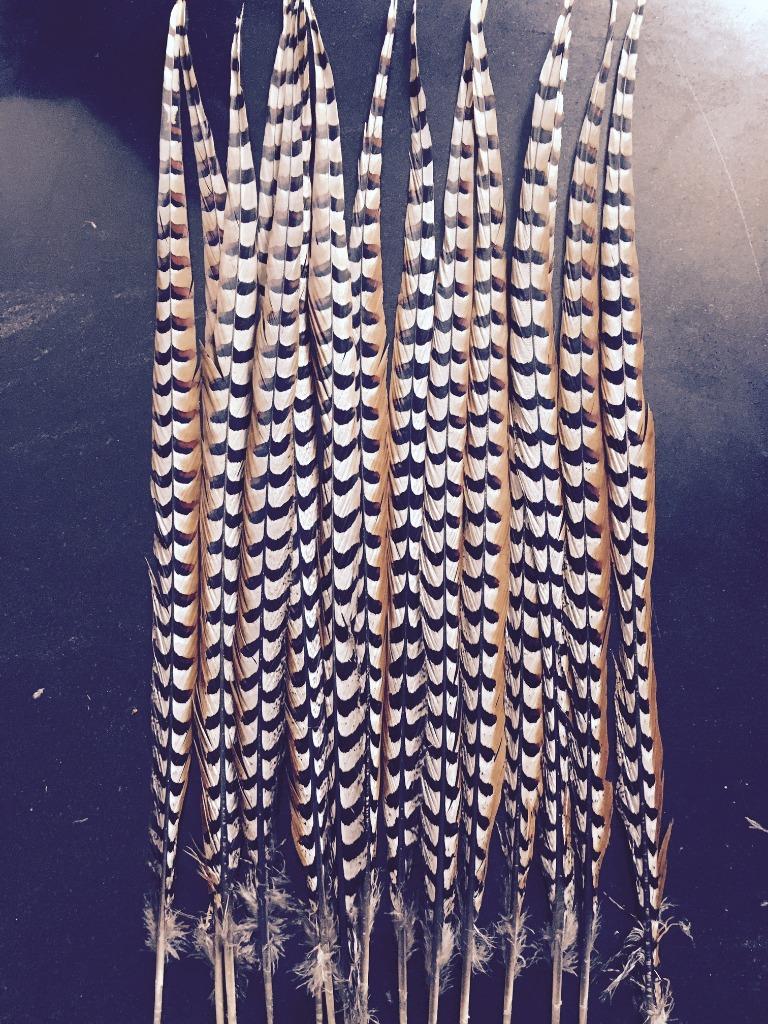 Koning fazant veren carnavalsveren, Carnaval, Nieuw, Ophalen of Verzenden, Accessoires