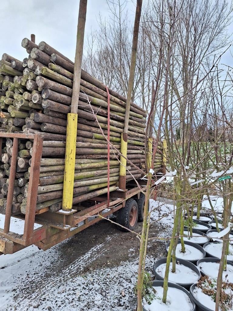 Boompalen, Hekpalen, Palen  Tuinpalen., Tuin en Terras, Palen, Balken en Planken, Gebruikt, Palen, 250 cm of meer, Ophalen