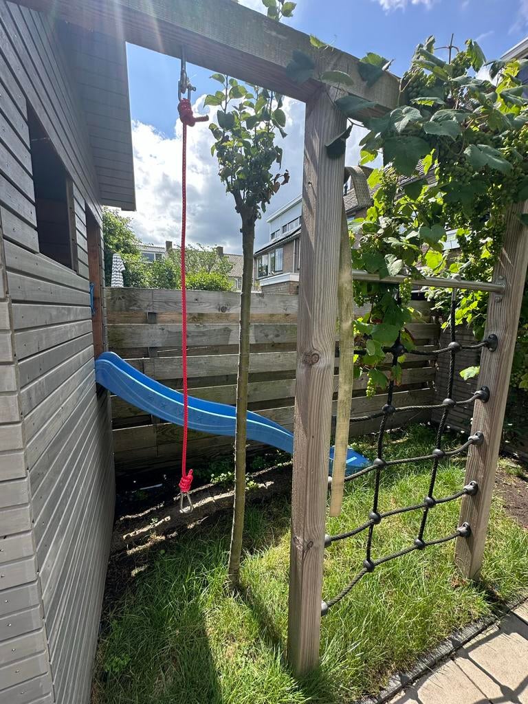 Boompje - Zelf uitgraven en ophalen, Tuin en Terras, Planten | Bomen, Overige soorten, 250 tot 400 cm, Halfschaduw, Ophalen