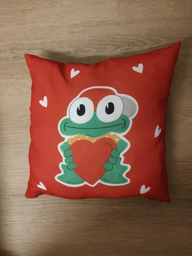 Opkikker Kussen met Kikker en Hart, Ophalen of Verzenden, Zo goed als nieuw, Rood, Vierkant
