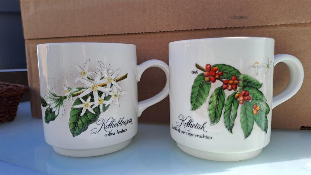 Vintage Villeroy & Boch mokken - Botanische print, Ophalen of Verzenden