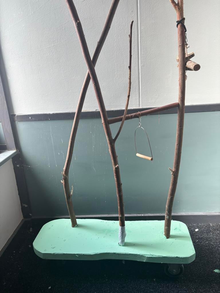 Speelboom van wilgenhout voor kleine vogels, Ophalen, Speelgoed