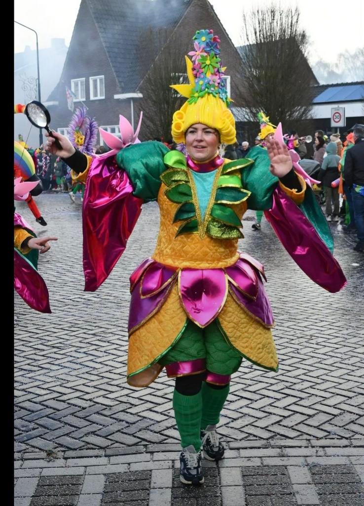 Schitterende loopgroep carnaval pakken carnavals pak optocht, Kleding | Dames, Carnavalskleding en Feestkleding, Ophalen, Zo goed als nieuw