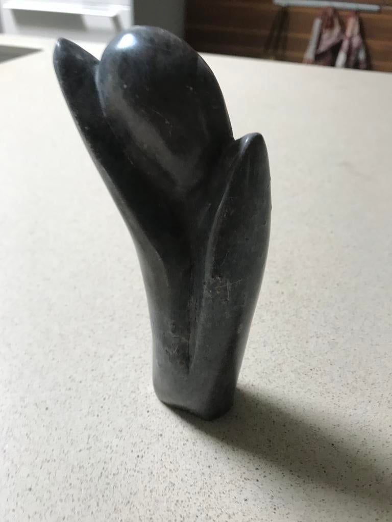 Young Sculptors of Zimbabwe, Antiek en Kunst, Ophalen of Verzenden