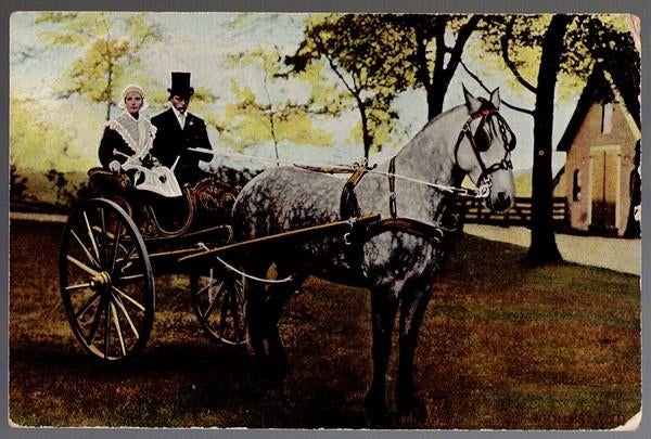 FRIESLAND  -  Sjees  1908  (TULP), Ophalen of Verzenden, Voor 1920, Gelopen, Friesland