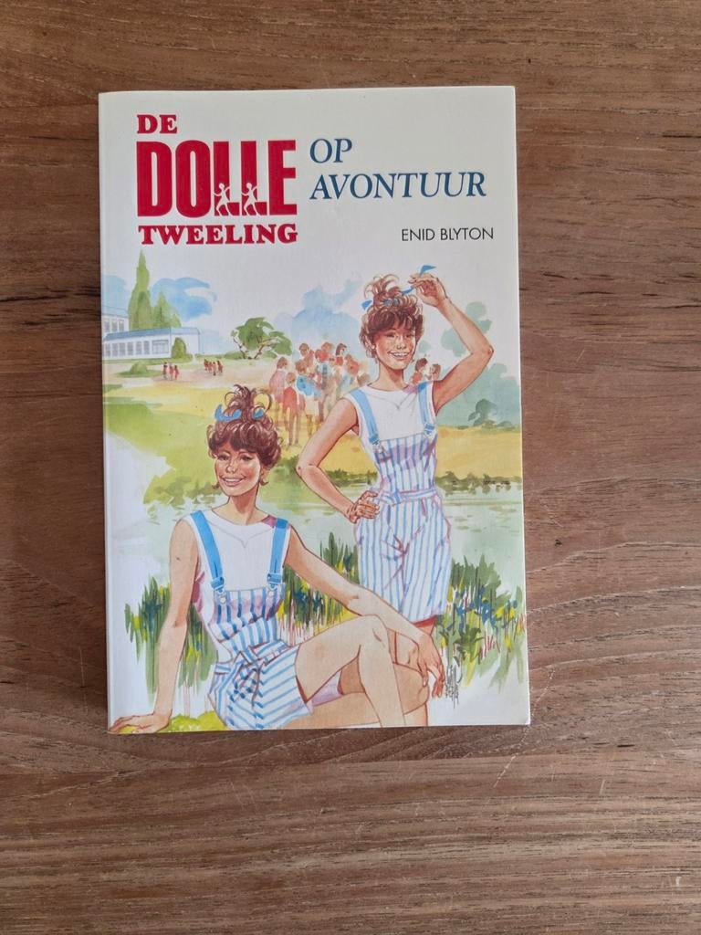 De Dolle tweeling op avontuur, Boeken, Kinderboeken | Jeugd | 10 tot 12 jaar, Ophalen of Verzenden, Nieuw, Enid Blyton