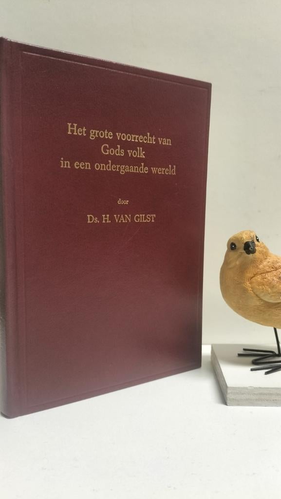 Gilst, Ds. H. van; Het grote voorrecht van Gods volk, Ophalen of Verzenden, Gelezen, Christendom | Protestants