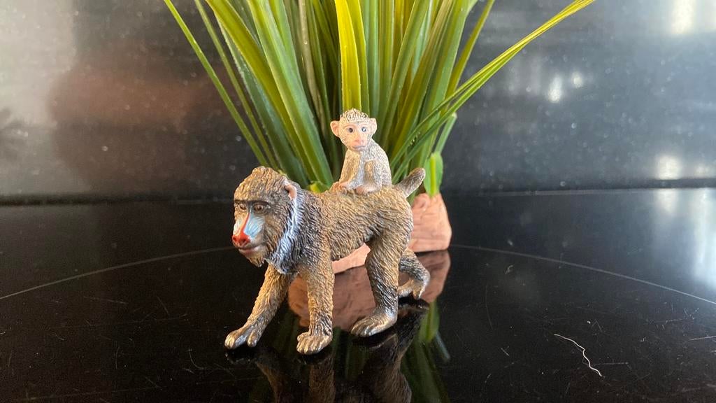 Schleich Wildlife: Mandril met Baby Aapje, Ophalen of Verzenden, Zo goed als nieuw, Paard, Beeldje of Figuurtje