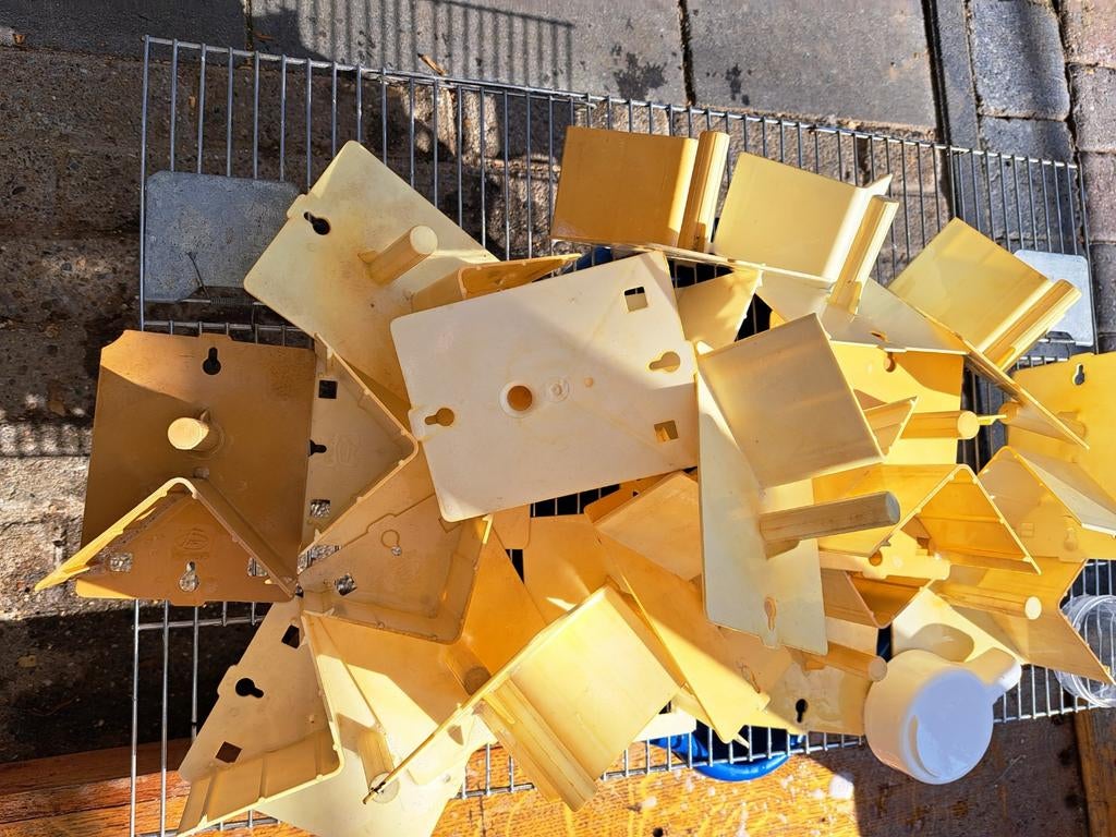 Zit kapjes vogels, Dieren en Toebehoren, Meerdere dieren