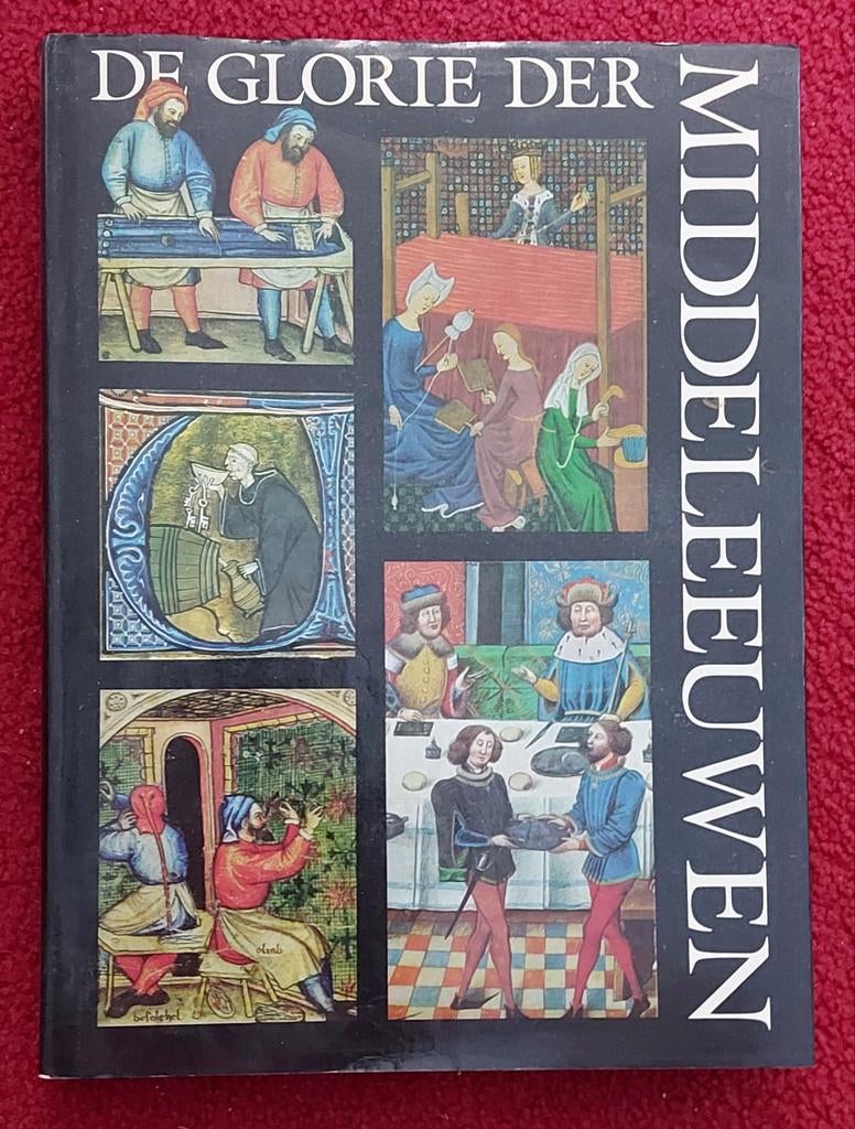 De Glorie der Middeleeuwen - Boek over Middeleeuwen, Ophalen of Verzenden, 20e eeuw of later, Gelezen, Onbekend