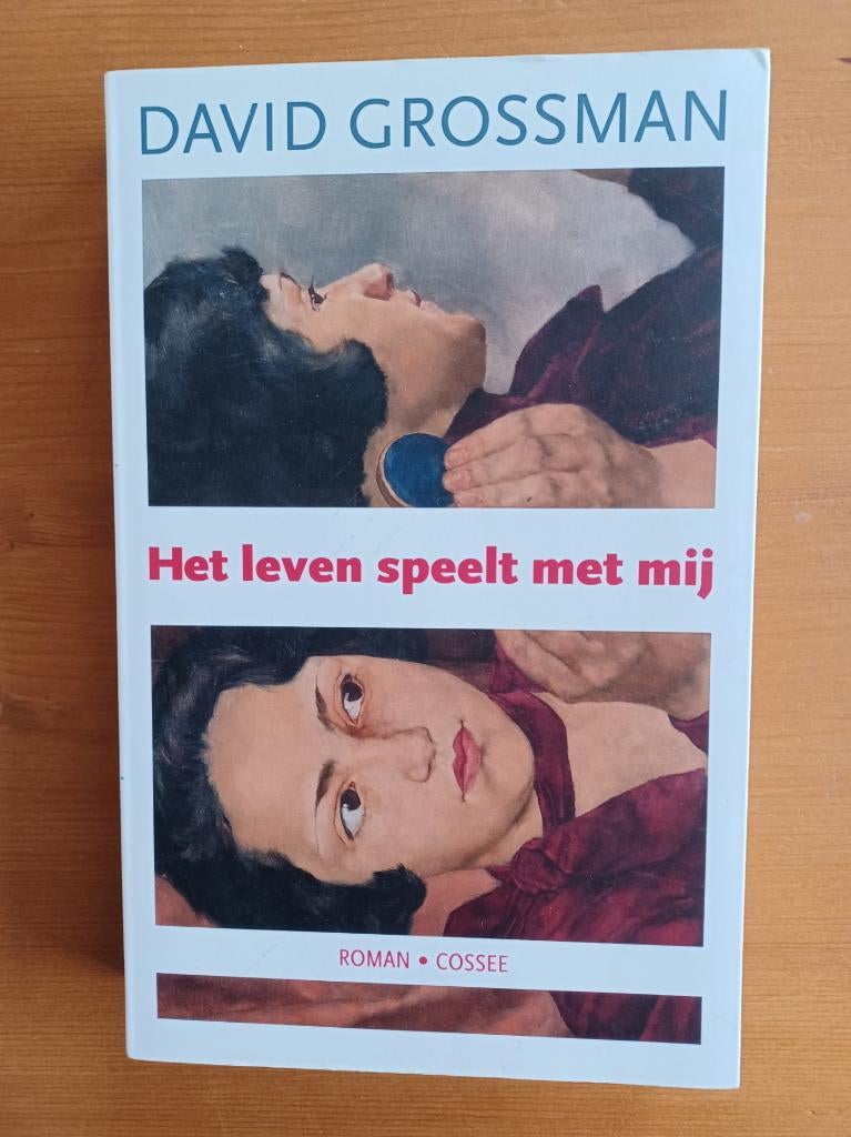 Het leven speelt met mij - roman, Gelezen, Wereld overig, Ophalen of Verzenden, David Grossman