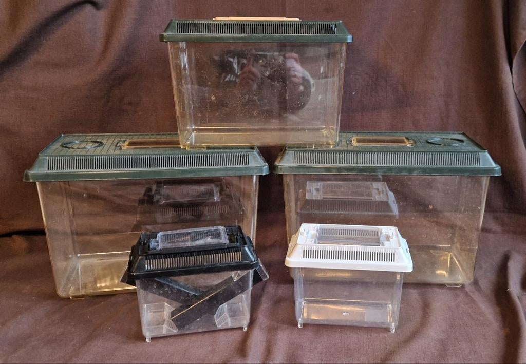 Bakken voor insecten of transport in 1 koop, Ophalen of Verzenden