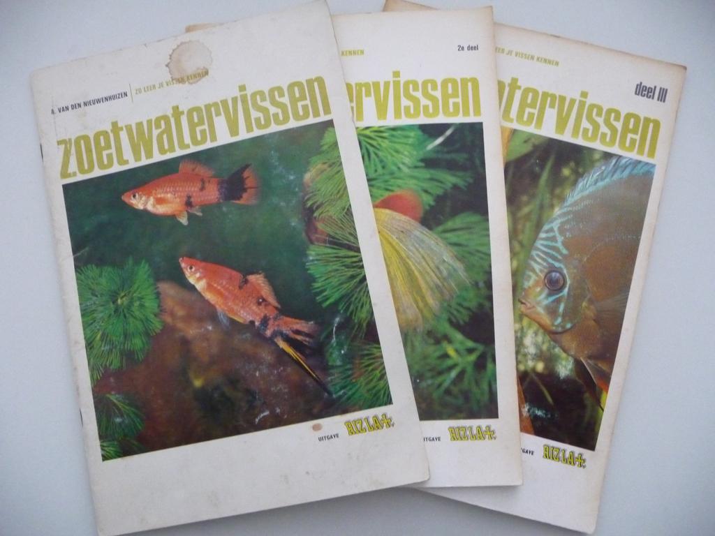 3 plaatjesboeken -ZOETWATERVISSEN deel 1,2,3 - uitgave RIZLA, Ophalen of Verzenden, Gelezen, A.van den Nieuwenhuizen, Plaatjesalbum
