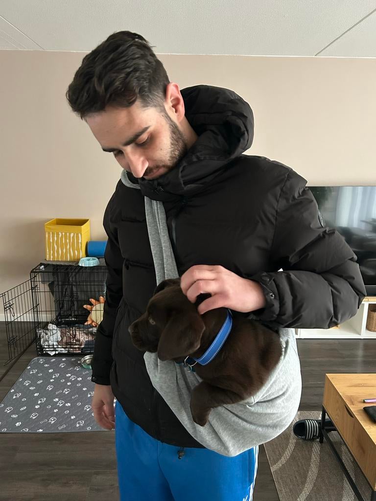 Draagzak / Puppy sling voor honden, puppy’s en katten, Ophalen, Zo goed als nieuw
