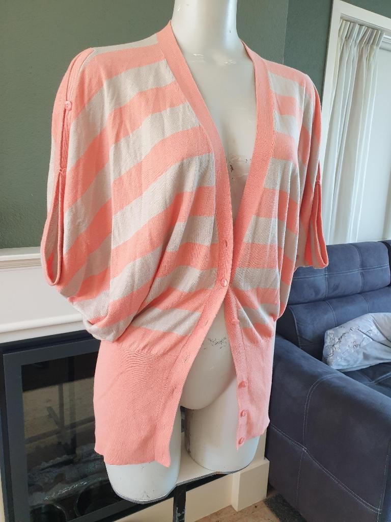 Anecdote super mooi vlindermouw vest S 36, Overige kleuren, Verzenden, Zo goed als nieuw, Maat 36 (S)