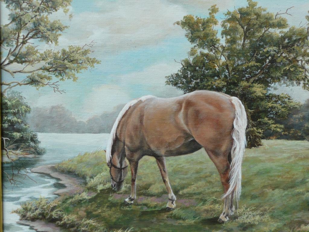 Haflinger, Ophalen of Verzenden