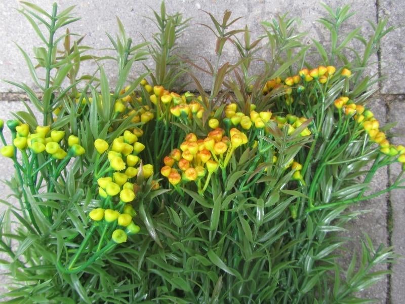 LANGE TAKKEN MET BESJES, Ophalen of Verzenden, Nieuw