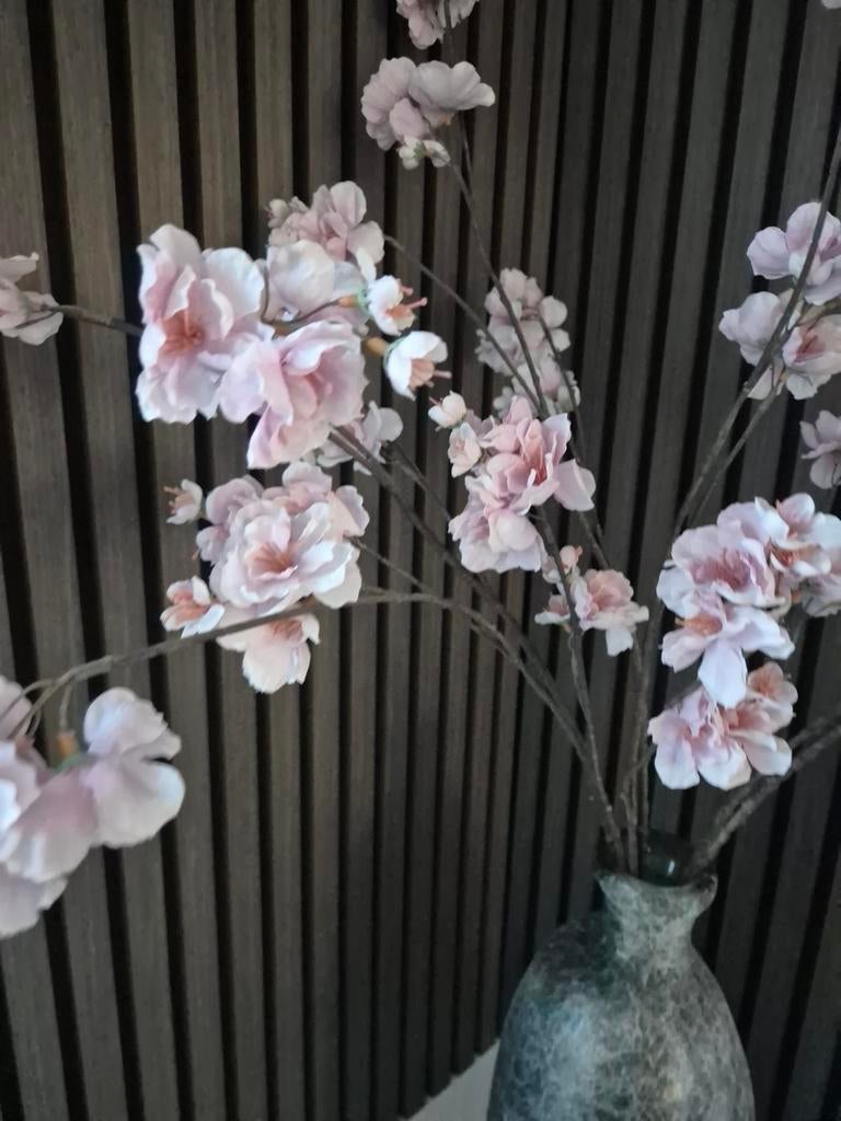 Bloesemtakken, Ophalen of Verzenden