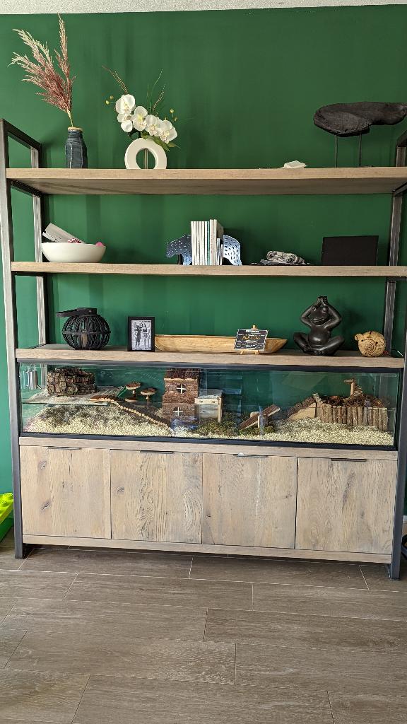 Maatwerk knaagdier terrarium met schuifruiten, Dieren en Toebehoren, Knaagdieren en Konijnen | Hokken en Kooien, Nieuw, Hok, Minder dan 60 cm