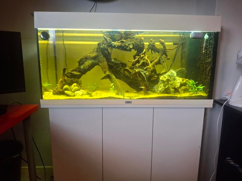 Juwel Rio 180 aquarium, Ophalen, Gebruikt, Leeg aquarium