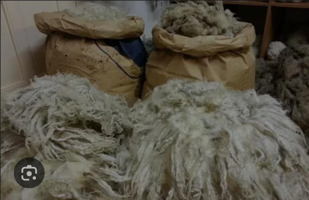 Op zoek naar schapenwol /scheerafval wol, Ophalen of Verzenden