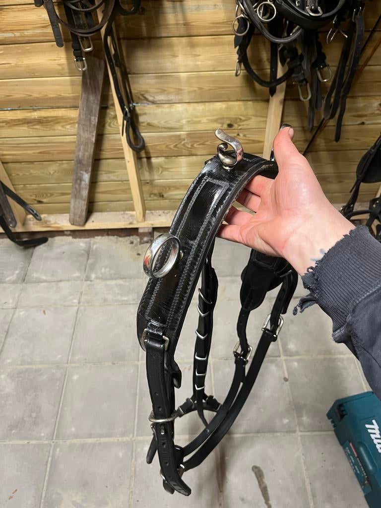 Concours tuig paard, Dieren en Toebehoren, Paarden en Pony's | Hoofdstellen en Tuigage, Ophalen of Verzenden, Overige soorten