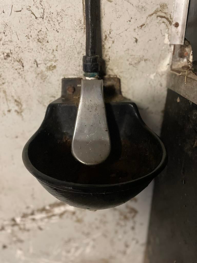 4 PAARDEN DRINKBAKKEN voor montage in paardenboxen, Dieren en Toebehoren, Ophalen, Gebruikt, Overige soorten