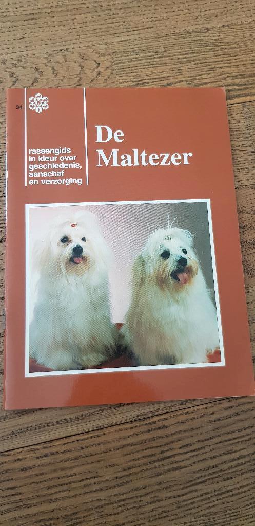 De Maltezer, rassengids, nieuw!!, Ophalen of Verzenden, Nieuw, Honden