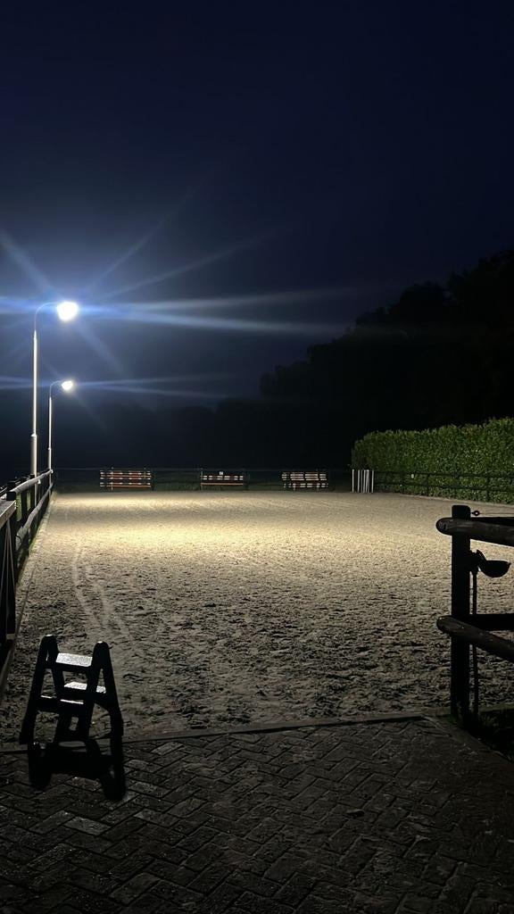 Ledlampen  Paardenbak Rijbak 500/300/200 watt, Weidegang