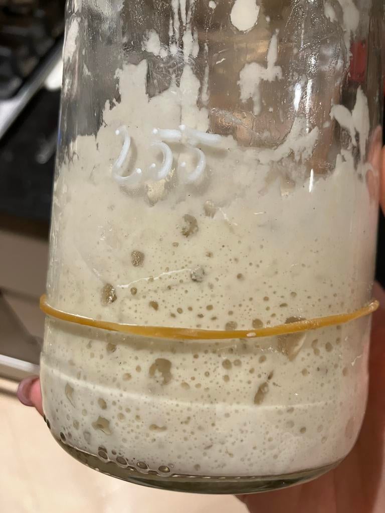 Zuurdesem starter zuurdesem brood, Diversen, Levensmiddelen, Ophalen of Verzenden