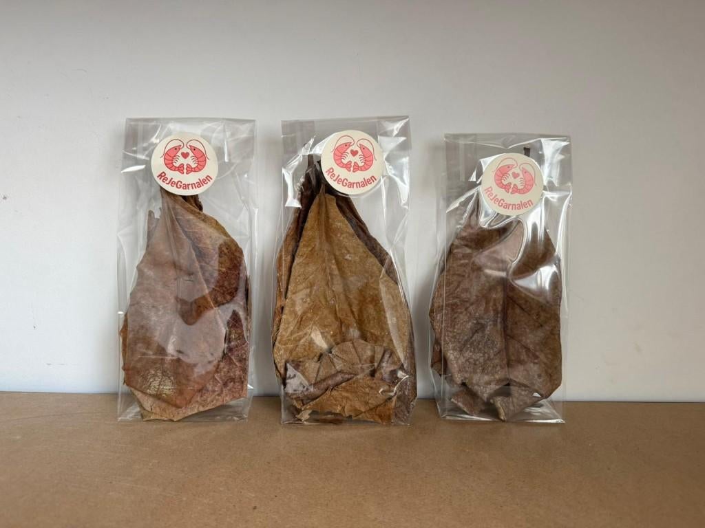 catappa bladeren, Dieren en Toebehoren, Vissen | Aquaria en Toebehoren, Nieuw, Plant(en), Steen of Hout, Ophalen